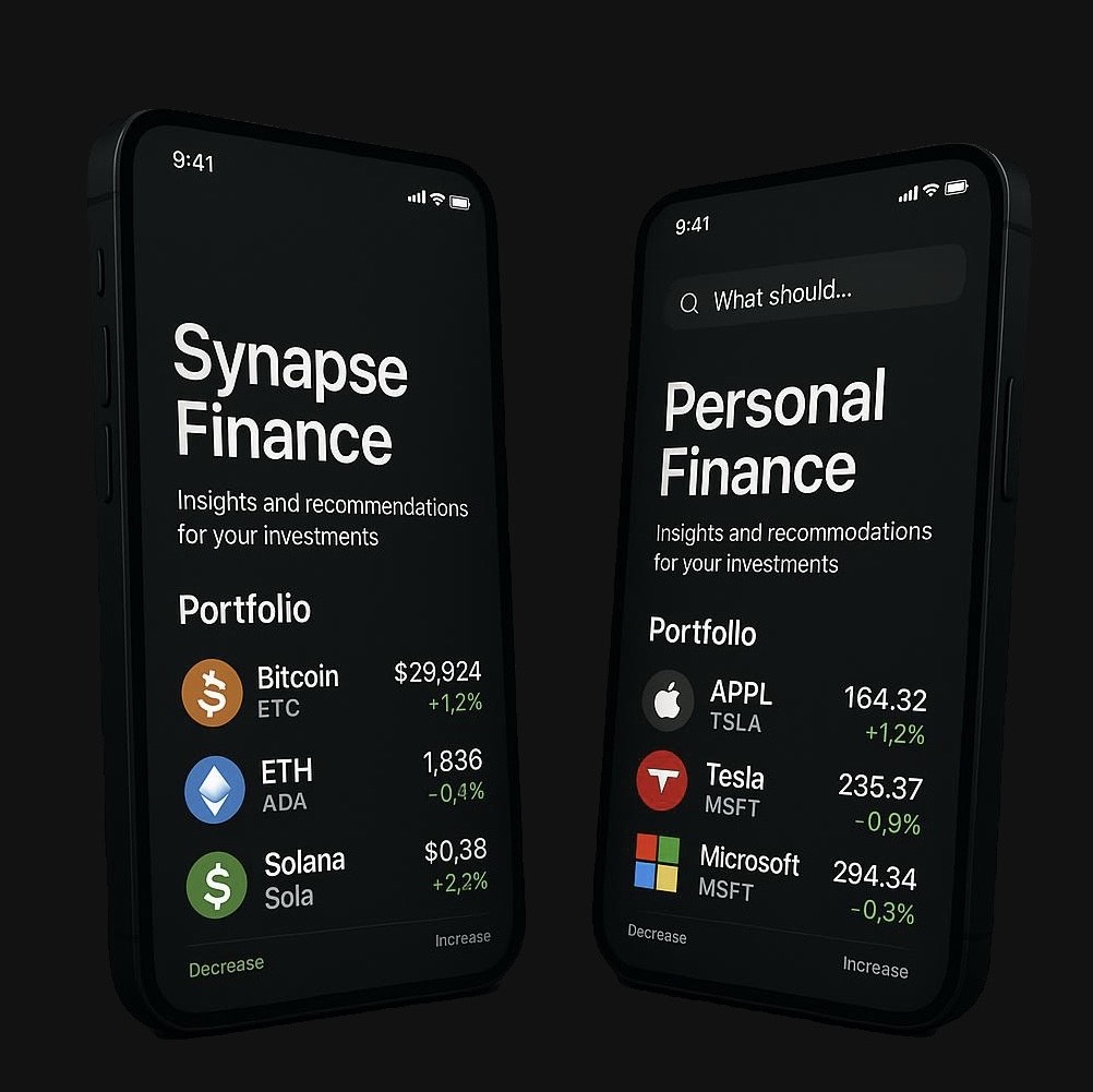 Synapse Finance Portfolio Mockup